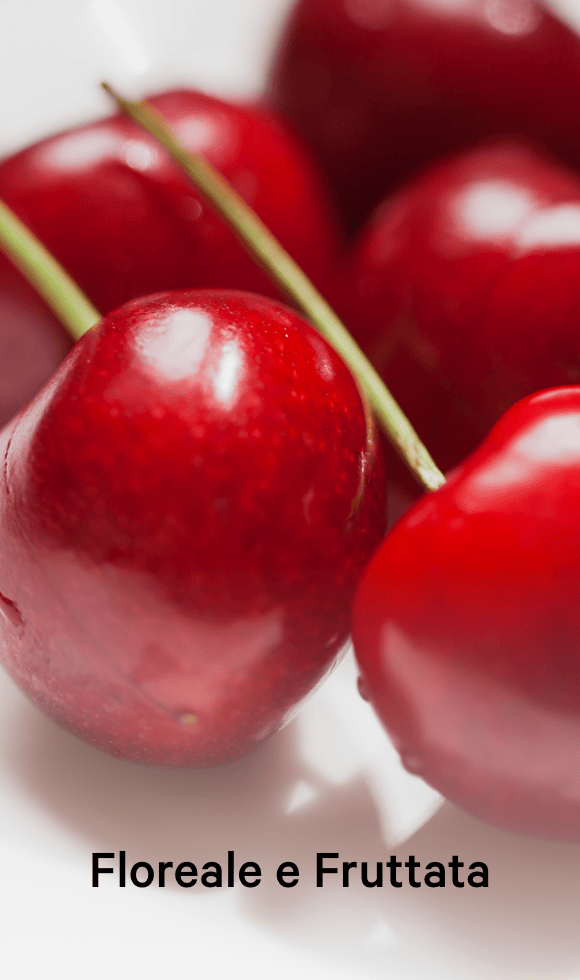 Frutta