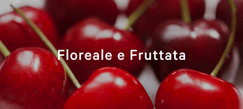 Frutta