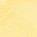 Yellow Tulip