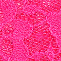 Forever Pink