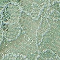 Seasalt Green