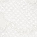 Coconut White