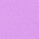 Purple Paradise