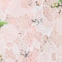 Purest Pink Floral