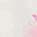Coconut White/New Peony Floral Bouquetes